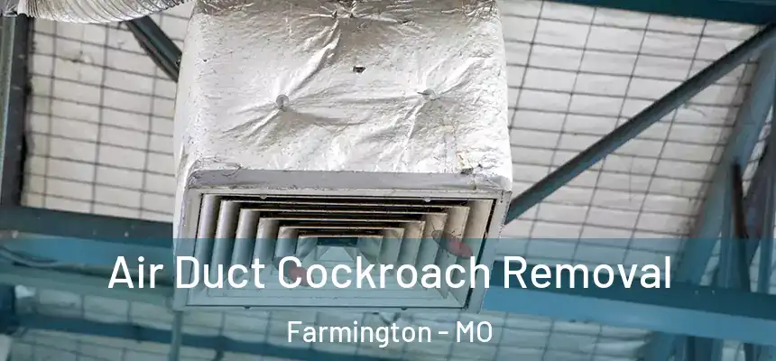  Air Duct Cockroach Removal Farmington - MO
