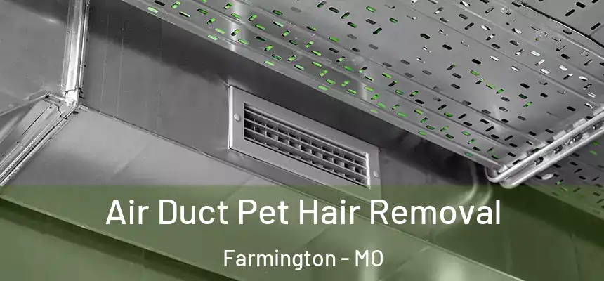  Air Duct Pet Hair Removal Farmington - MO