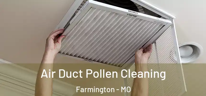  Air Duct Pollen Cleaning Farmington - MO