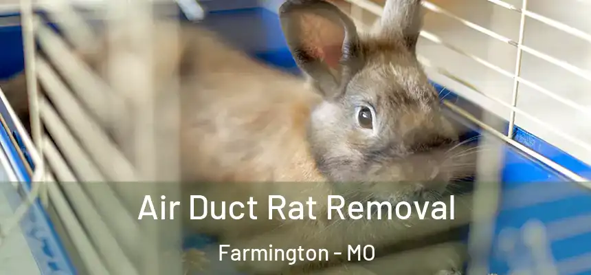  Air Duct Rat Removal Farmington - MO