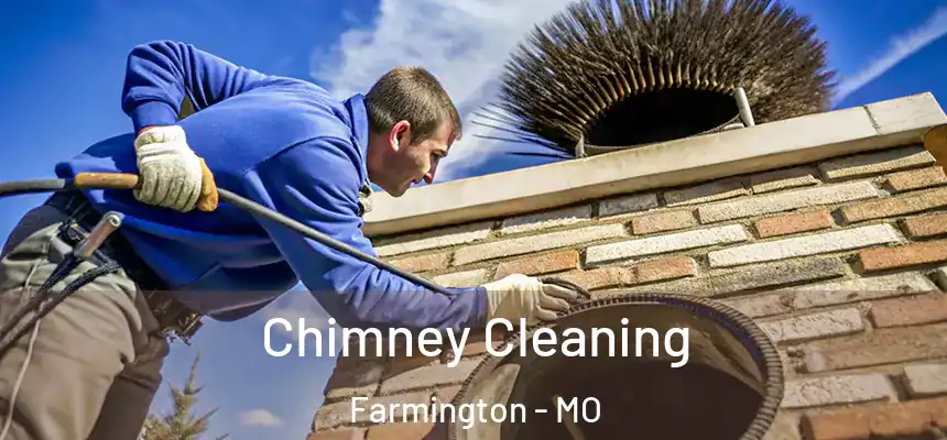  Chimney Cleaning Farmington - MO