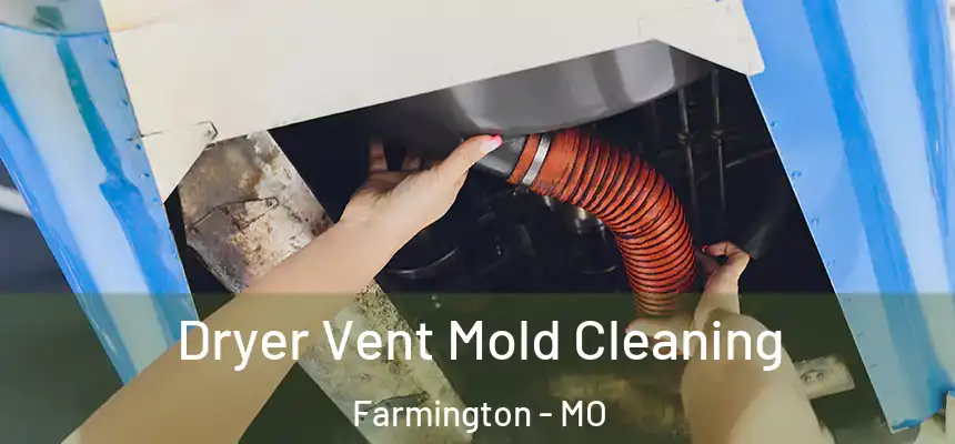  Dryer Vent Mold Cleaning Farmington - MO