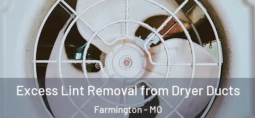  Excess Lint Removal from Dryer Ducts Farmington - MO