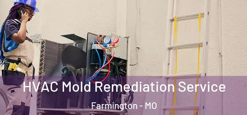  HVAC Mold Remediation Service Farmington - MO