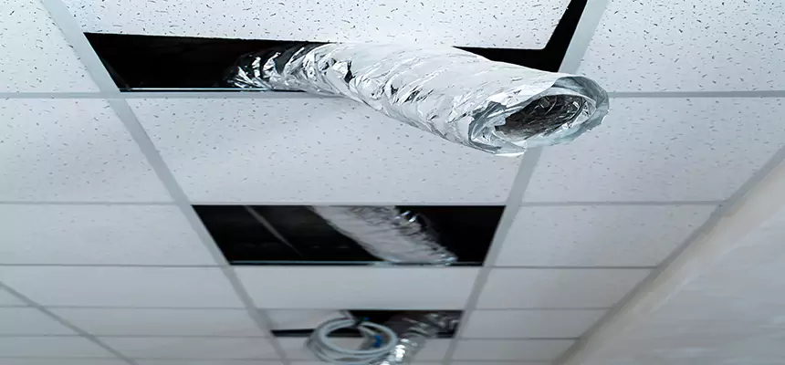 Our Air Duct Pet Hair Removal Services in Farmington, MO