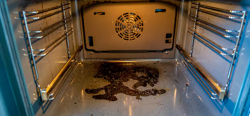 Our Dryer Vent Mold Cleaning Services in Farmington, MO