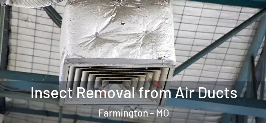  Insect Removal from Air Ducts Farmington - MO
