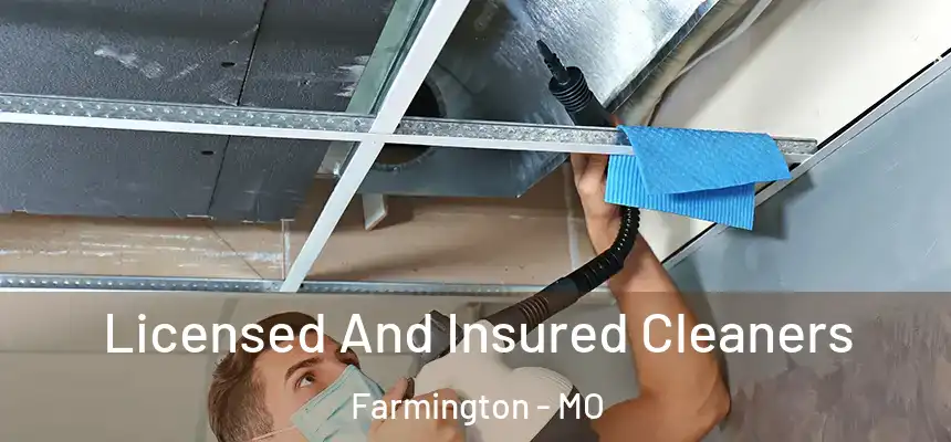  Licensed And Insured Cleaners Farmington - MO