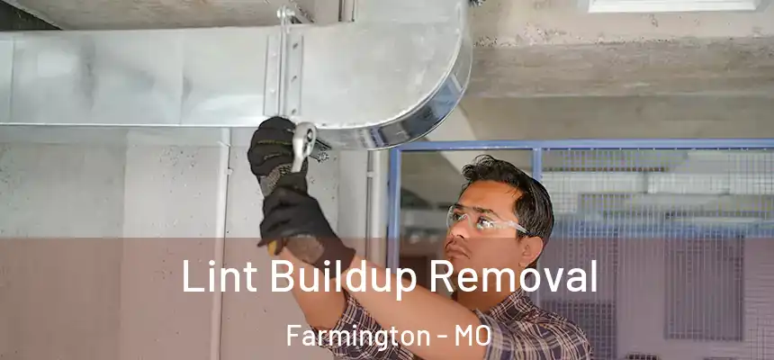  Lint Buildup Removal Farmington - MO