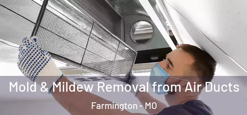  Mold & Mildew Removal from Air Ducts Farmington - MO