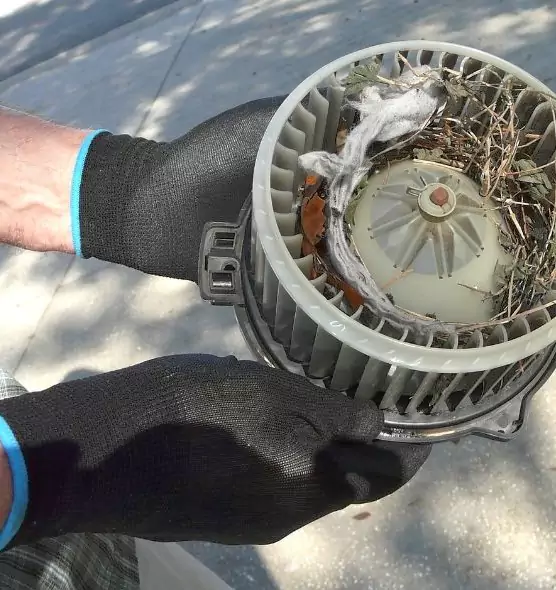 About Air Duct Mice Removal in Farmington, MO