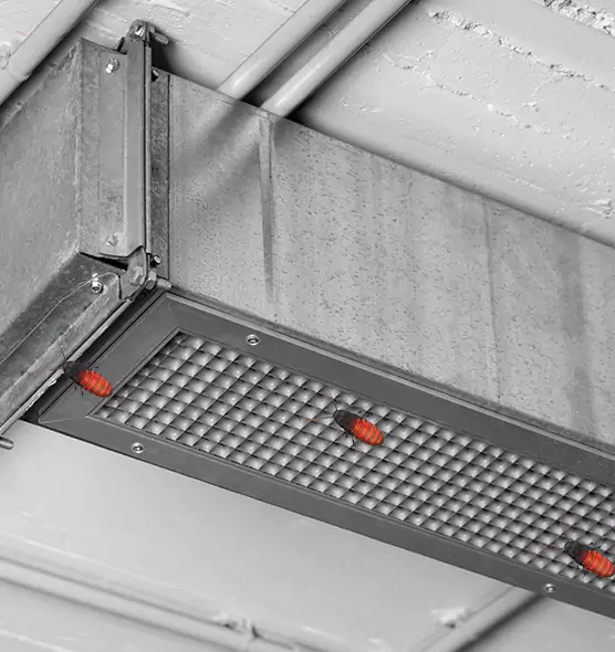 Affordable Insect Removal from Air Ducts in Farmington, MO