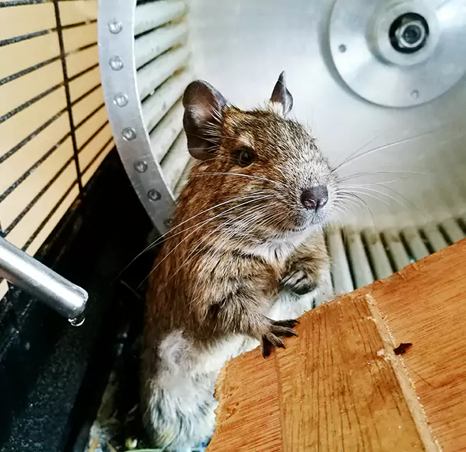 Why Homeowners & Businesses Trust Us Farmington, MO