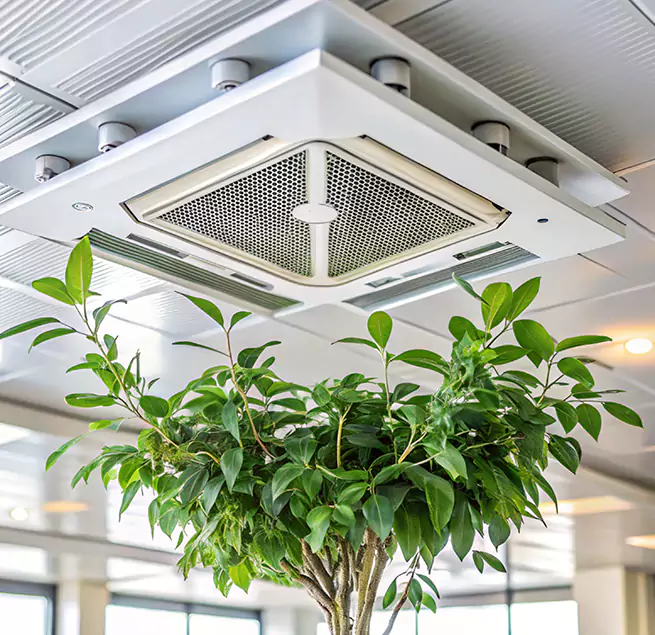 Why Homeowners & Businesses Trust Us in Farmington, MO?